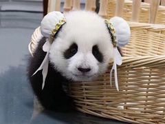 -栖凤渡杨婆鱼粉(苏仙传奇店)