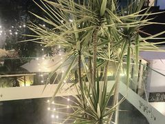 -云里小坐·小院里·团建·宴请·下午茶(三圣乡店)