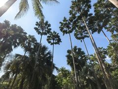 -中国科学院西双版纳热带植物园