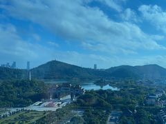 -顺峰山公园