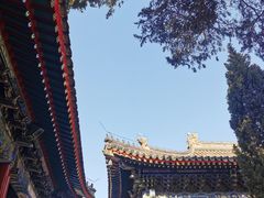 -北京艺术博物馆(万寿寺)