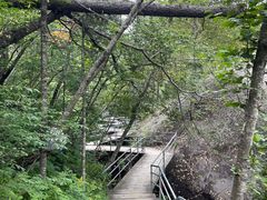 -峡谷浮石林景区