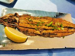 柠檬秋刀鱼-千岛蚝高压锅生蚝·人参火锅(白云万达店)