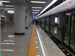 -奥体中心(地铁站)