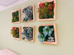 -诗丽华黛美容院