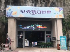 -贝壳梦幻世界