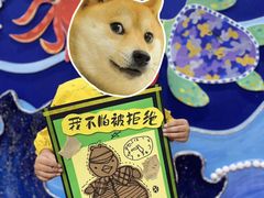-杨梅红艺术教育(万象城校区)