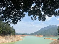 -广州市流溪河国家森林公园