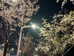 -幕燕滨江·长江观音景区