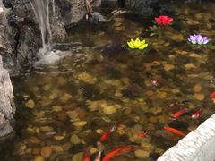 -上海德星奔驰(江杨南路店)