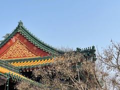 -阅江楼风景区