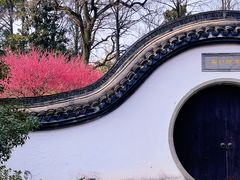 -杭州植物园
