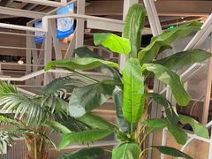 -湊湊火锅·茶憩(皇姑万象汇店)