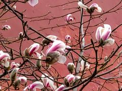 -东华门大街小区