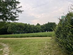 -同里国家湿地公园