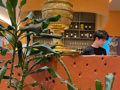 -美泰·Mangothai·清迈云街(天空之城店)