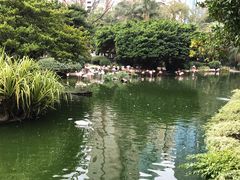 -九龙公园