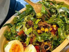 -油梨树AVOCADO TREE(顺义新国展店)