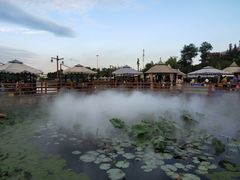 -马帮寨院坝火锅(龙港公园店)