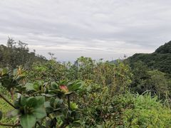 -梧桐山风景名胜区