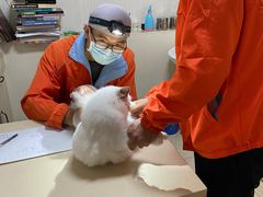 -深圳野生动物园宠物医院(西湖林语店)