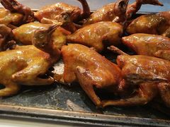 波士顿龙虾-盒马鲜生(皇庭广场店)
