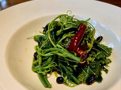 木姜子油拌苗菜-庆春朴门