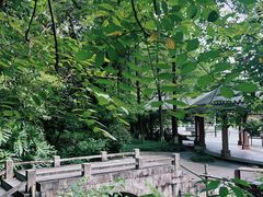 -水濂山森林公园