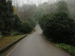 -竹涧府