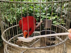 -南宫五洲植物乐园