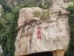 -仙蘑洞