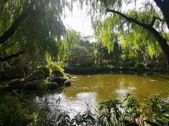 -秋霞圃