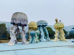 -芜湖新华联大白鲸海洋公园