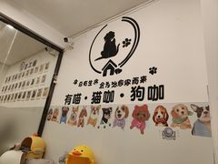 -有喵·猫咖·狗咖·30几只猫10只小狗(岗厦店)