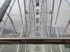 -飞来湖湿地公园