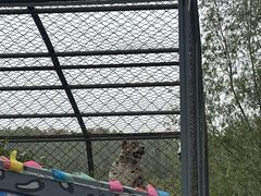 -青藏高原野生动物园
