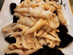 -味到1981日照海鲜·渔饺子