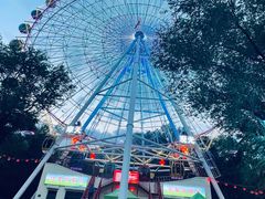 -青城公园