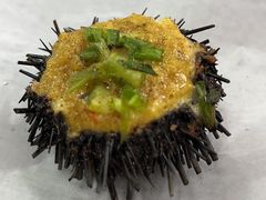 -海胆公主南澳岛美食海鲜