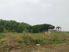 -大湾区中央湿地公园