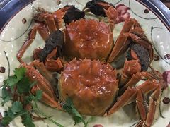 -食德乐·全鸽宴顺德菜(南湖店)