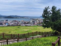 -涉地可支