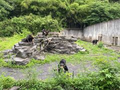 -宁波野生动物园