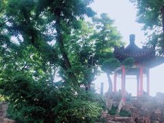 -莲湖公园