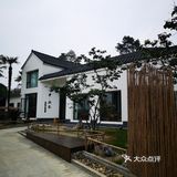 茶园发呆