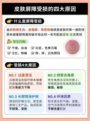 点击看大图 -玛莲朵·海菲秀冰珀科