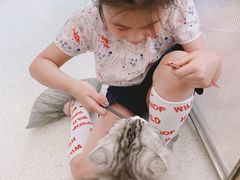 -飞行喵MR PILOT|猫舍·猫咖(静安大融城店)