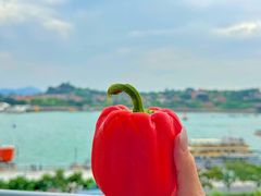 -厦门海港英迪格酒店(中山路店)