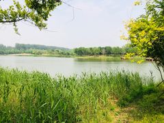 -东郊湿地公园