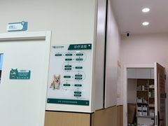-瑞派康怡24h宠物医院·犬猫医疗中心·微创绝育(瑞景分院)